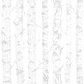 Birdie Birch Wallpaper