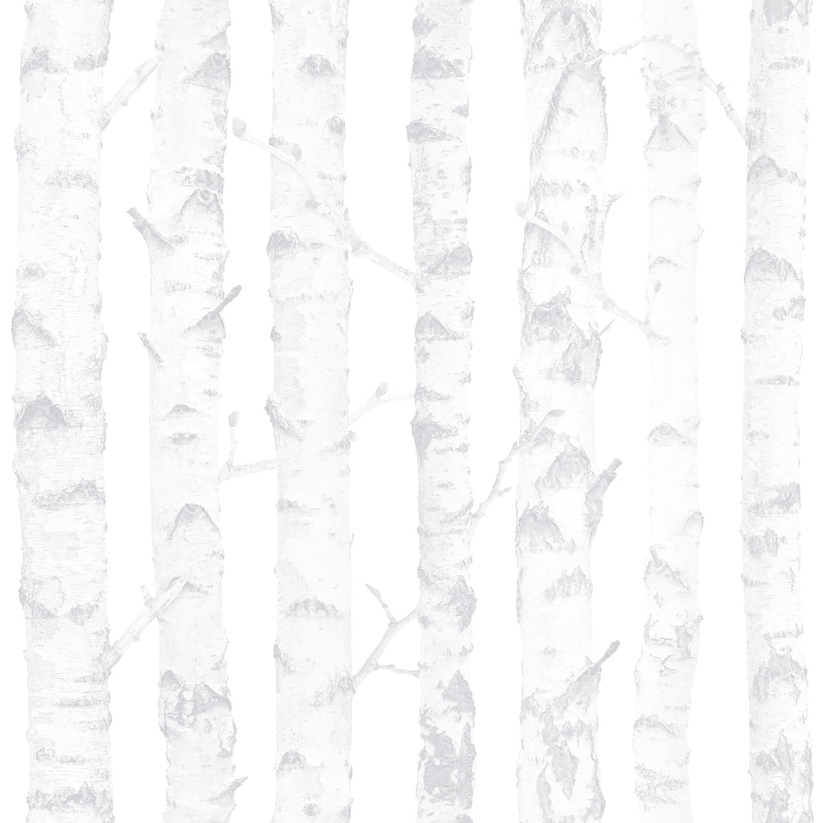 Birdie Birch Wallpaper