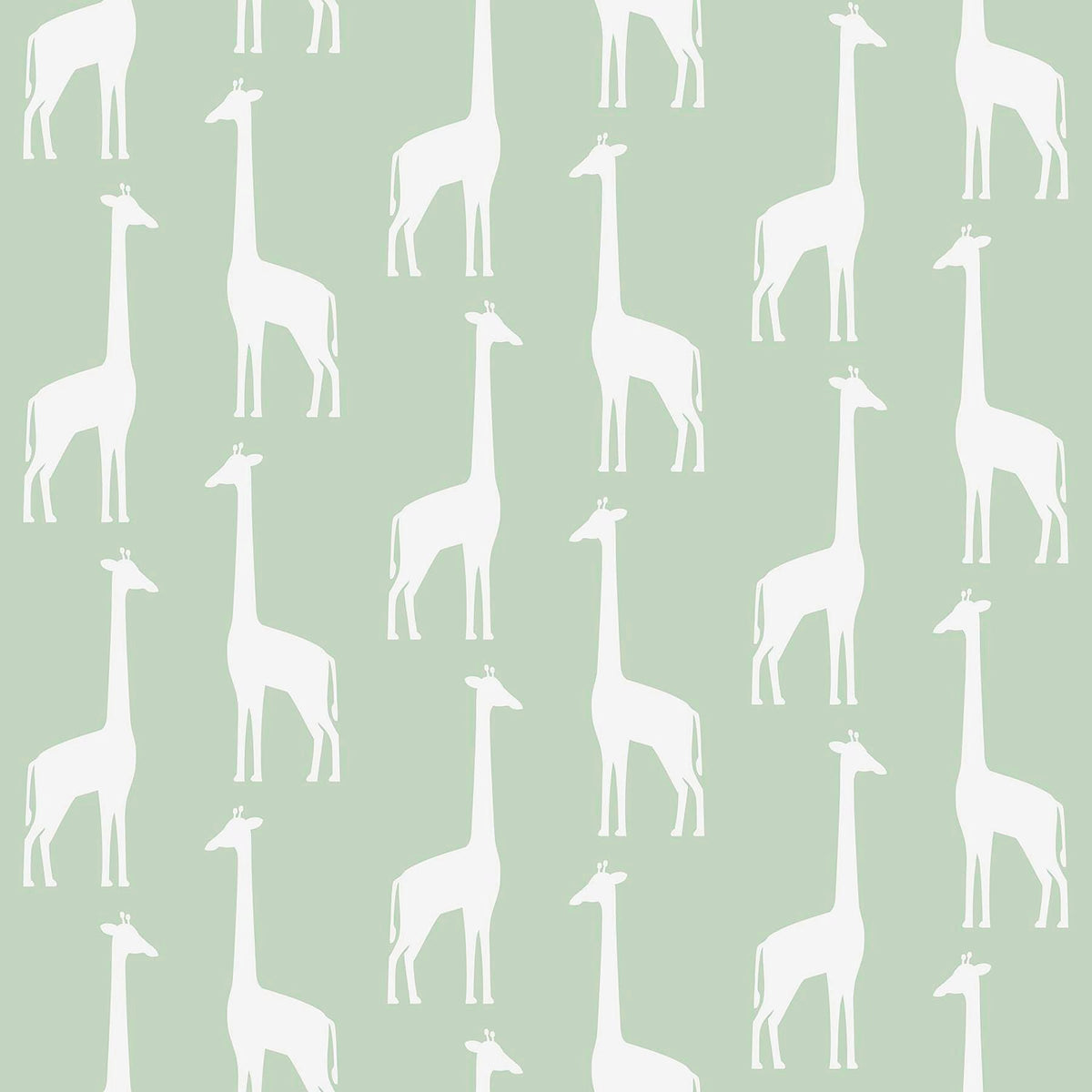 Vivi Giraffe Wallpaper