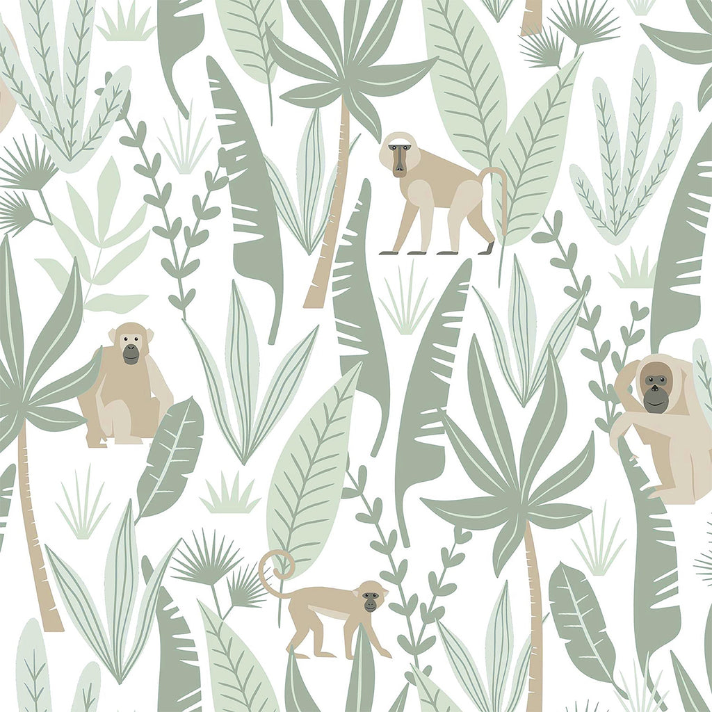Kiki Monkeys Wallpaper
