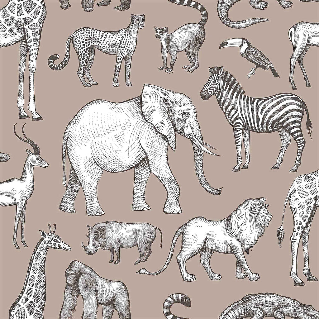 Kenji Safari Wallpaper