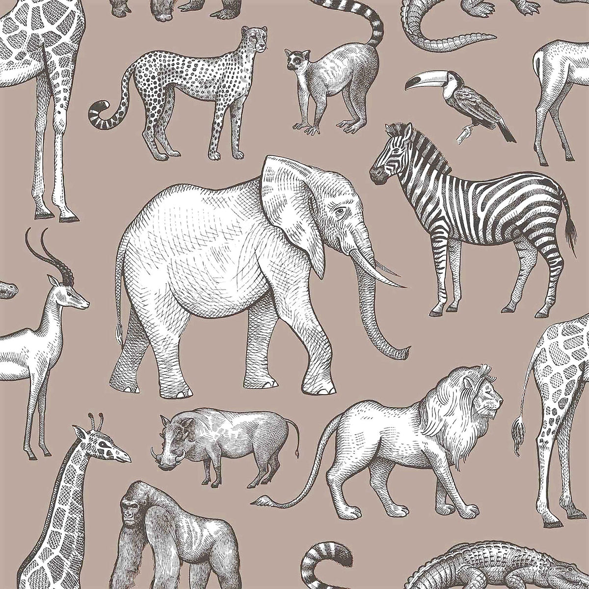 Kenji Safari Wallpaper