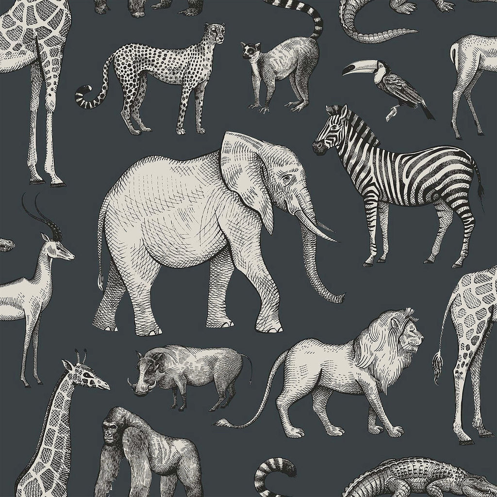 Kenji Safari Wallpaper