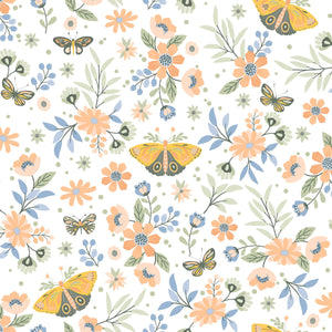 Zev Butterfly Wallpaper