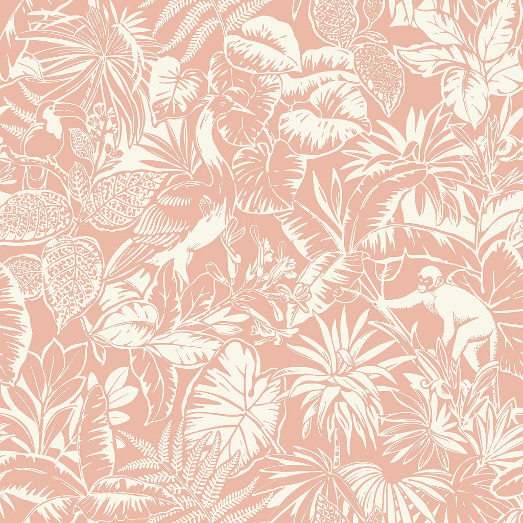 Corcovado Jungle Jamboree Wallpaper