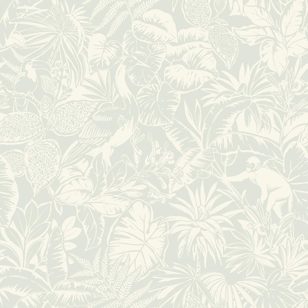Corcovado Jungle Jamboree Wallpaper