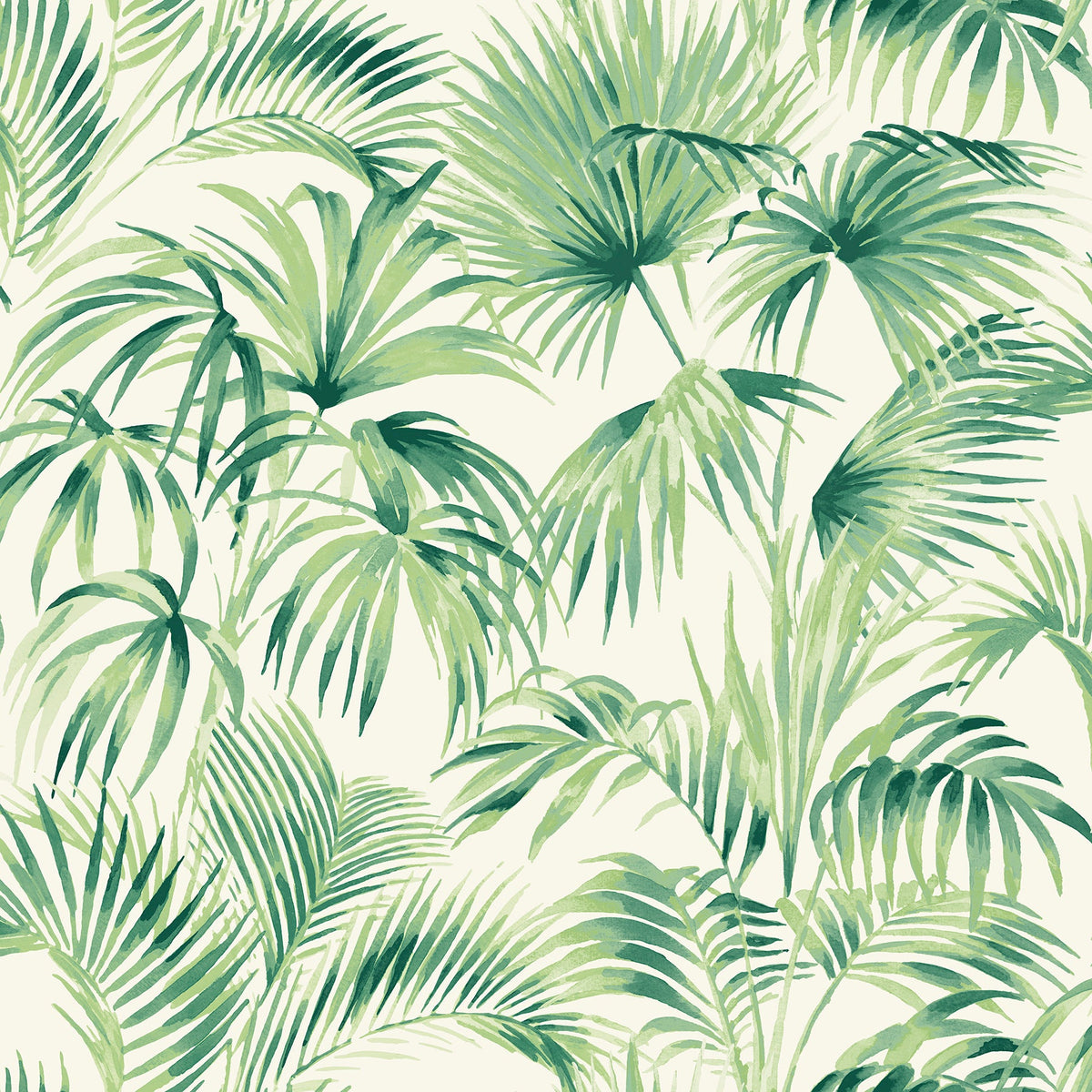 Manaus Palm Frond Wallpaper