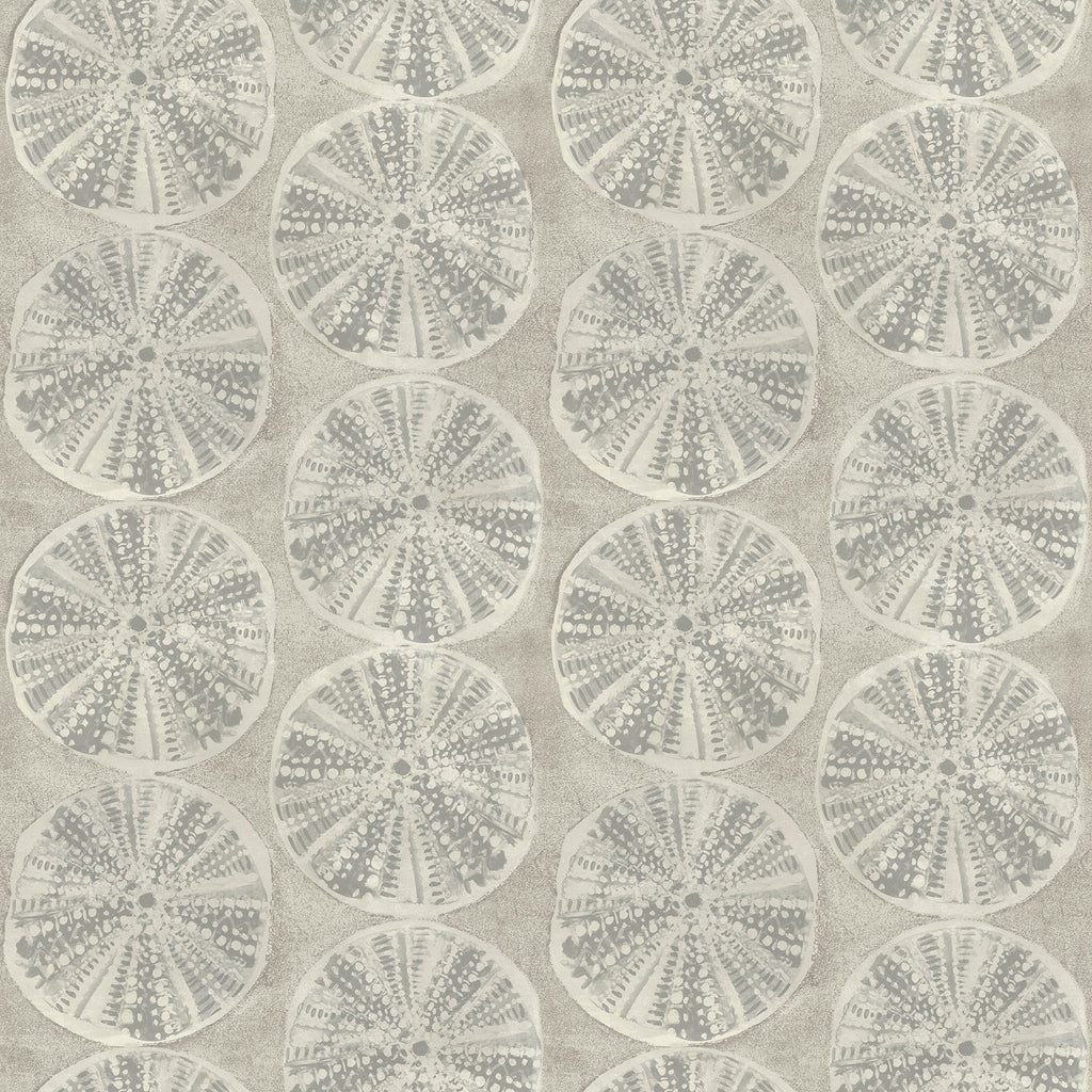 Sea Biscuit Sand Dollar Wallpaper