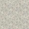 Sea Biscuit Sand Dollar Wallpaper