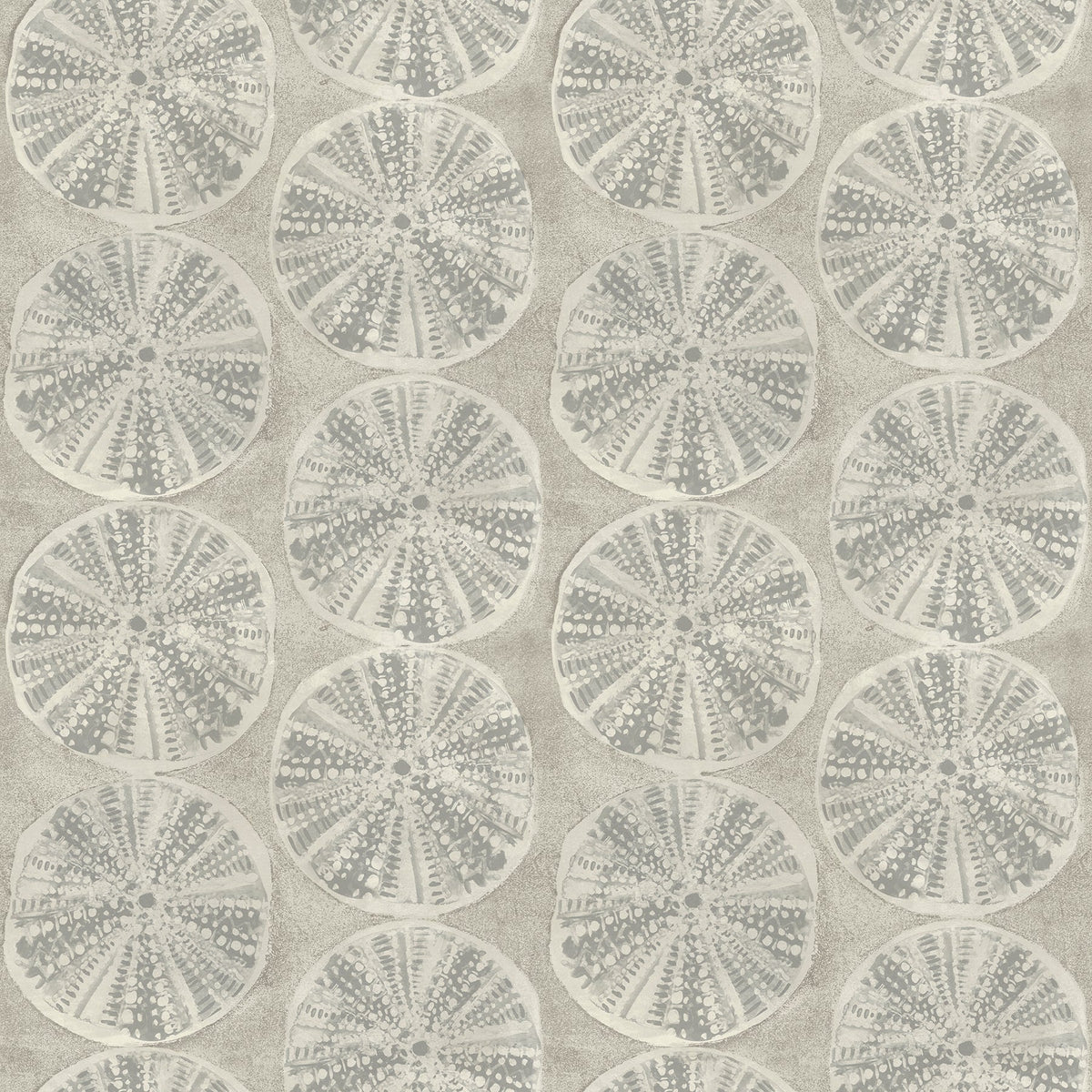Sea Biscuit Sand Dollar Wallpaper
