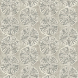 Sea Biscuit Sand Dollar Wallpaper