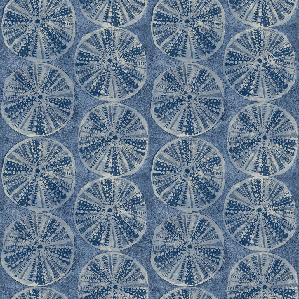 Sea Biscuit Sand Dollar Wallpaper