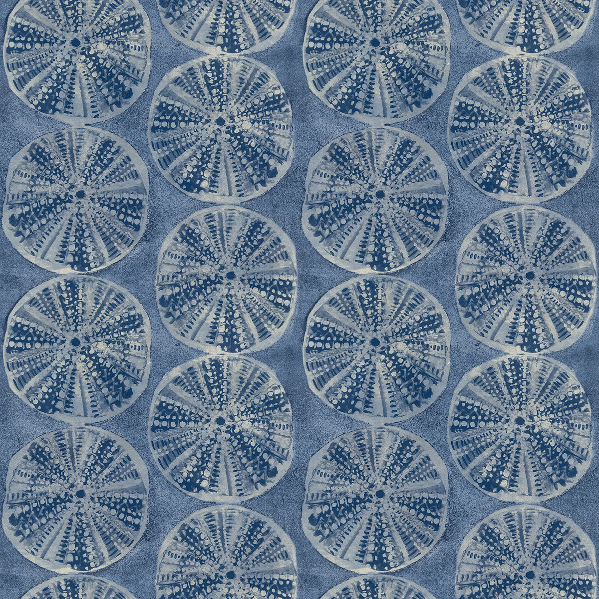 Sea Biscuit Sand Dollar Wallpaper