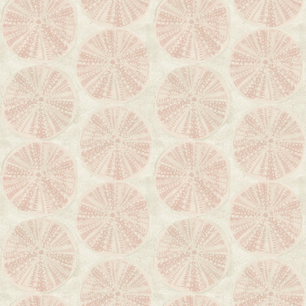 Sea Biscuit Sand Dollar Wallpaper
