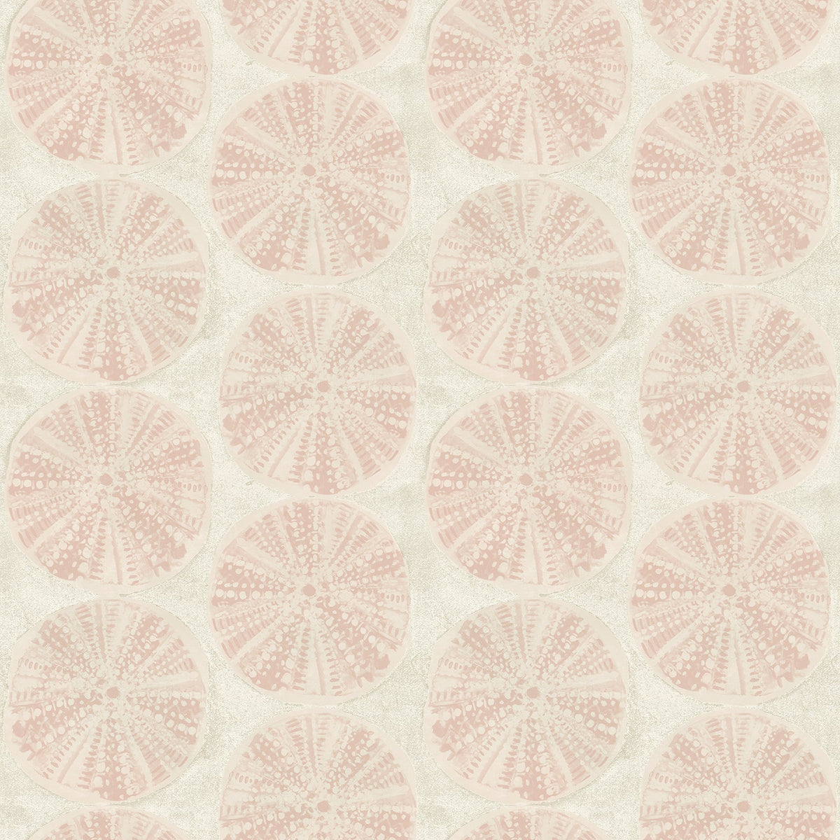 Sea Biscuit Sand Dollar Wallpaper