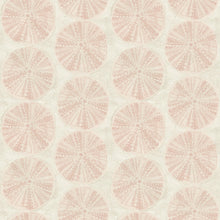 Load image into Gallery viewer, Sea Biscuit Sand Dollar Wallpaper