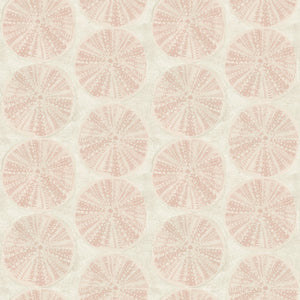 Sea Biscuit Sand Dollar Wallpaper