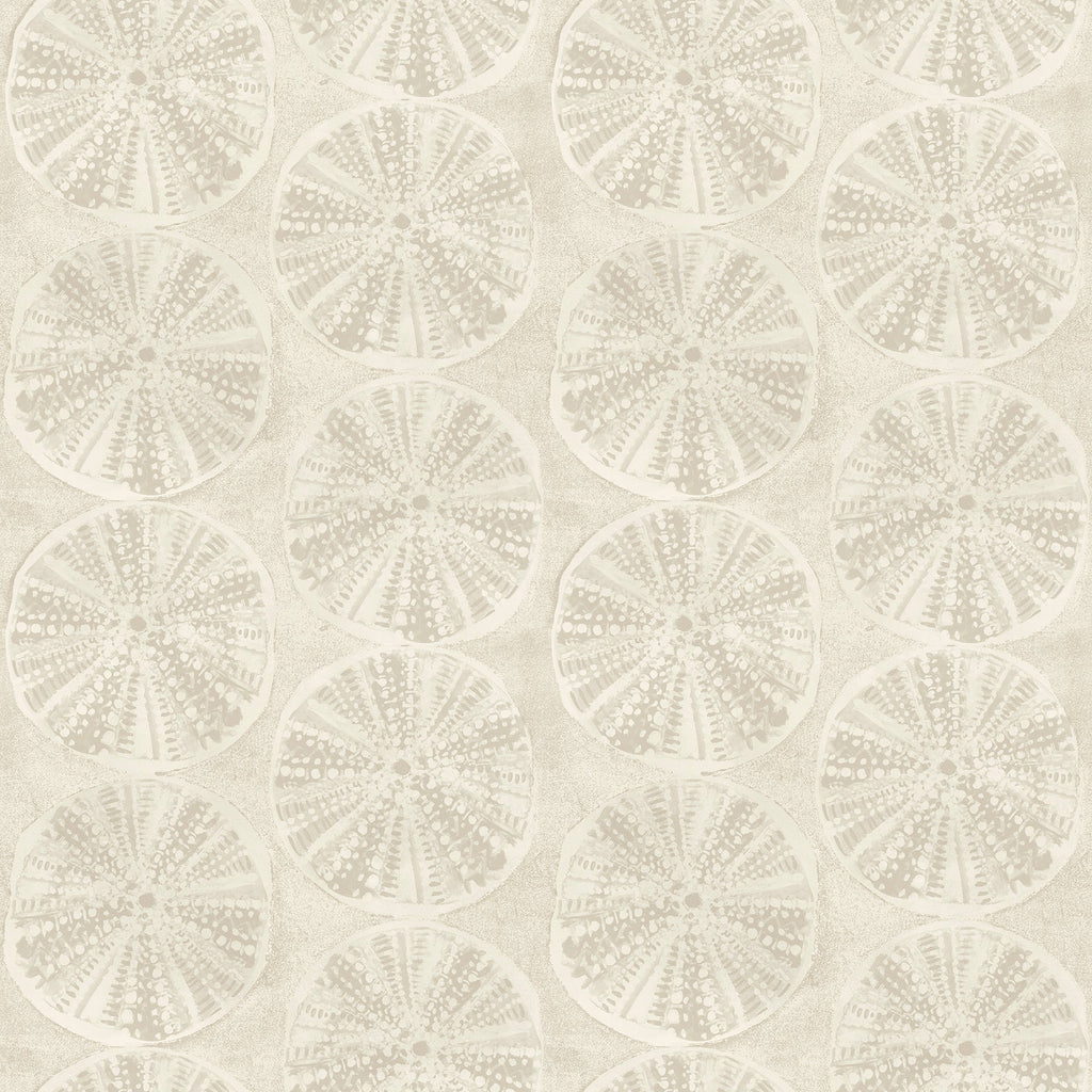 Sea Biscuit Sand Dollar Wallpaper