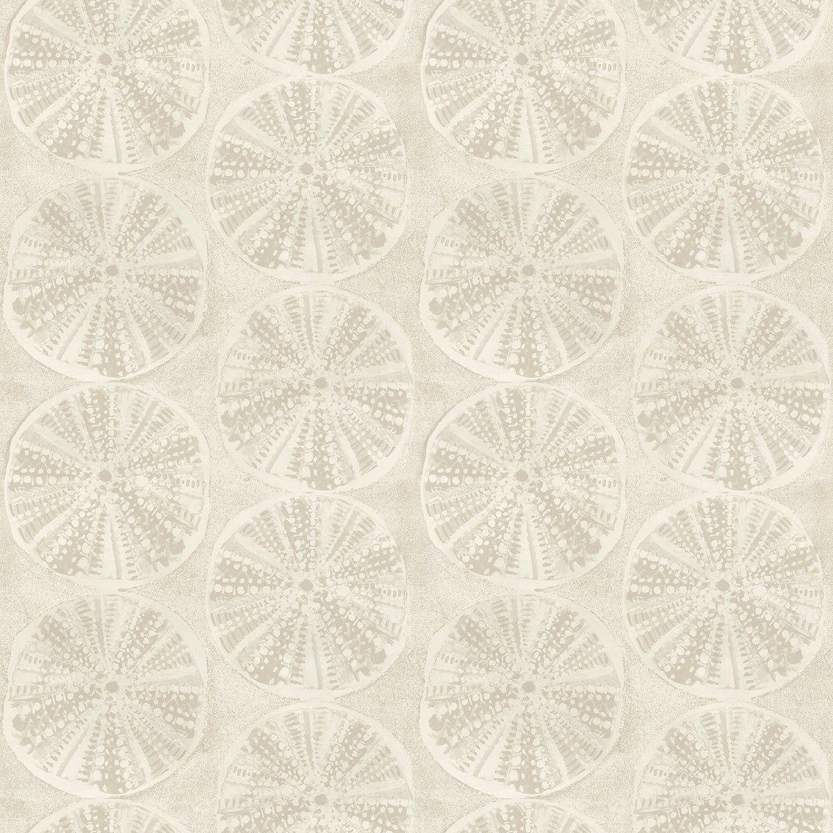 Sea Biscuit Sand Dollar Wallpaper