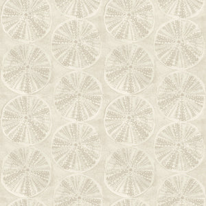 Sea Biscuit Sand Dollar Wallpaper