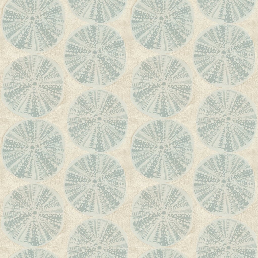 Sea Biscuit Sand Dollar Wallpaper