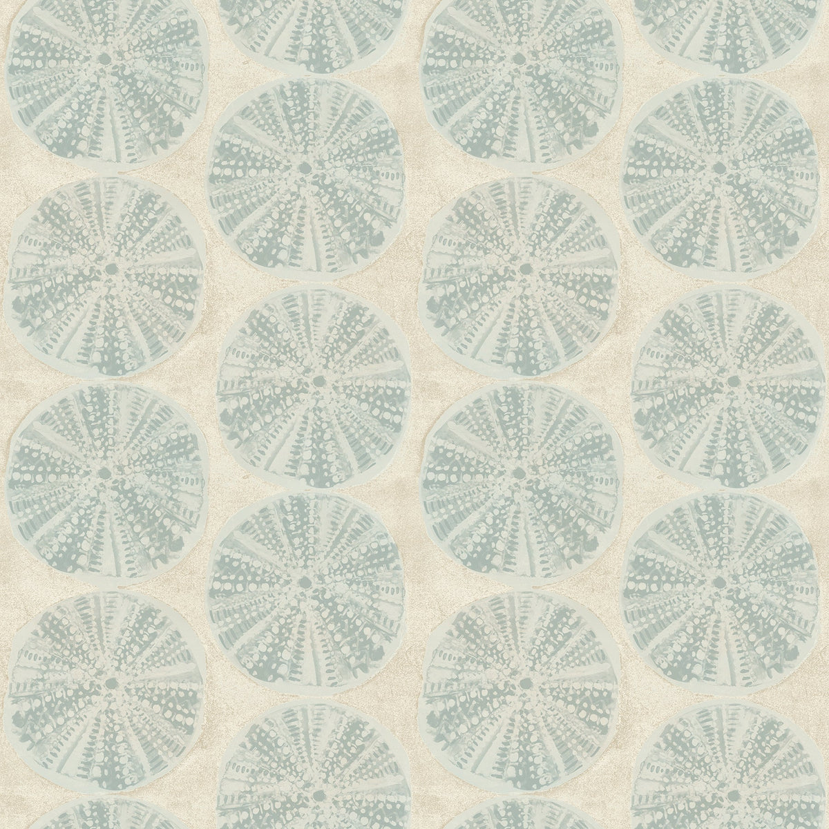 Sea Biscuit Sand Dollar Wallpaper