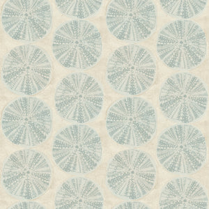 Sea Biscuit Sand Dollar Wallpaper