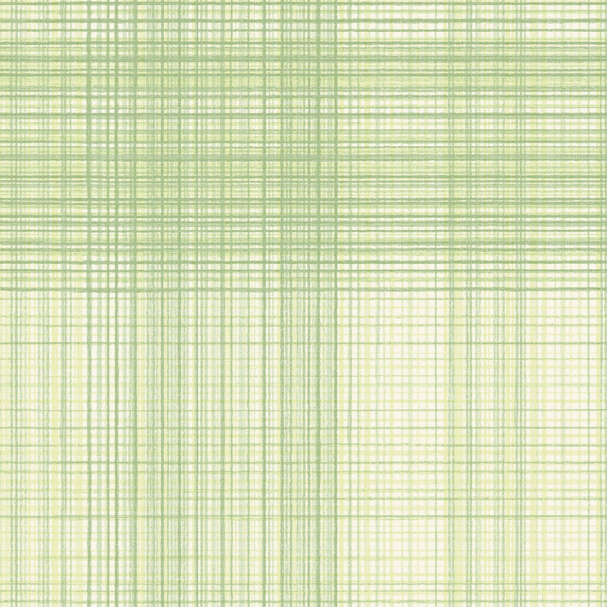 Madras Plaid Wallpaper