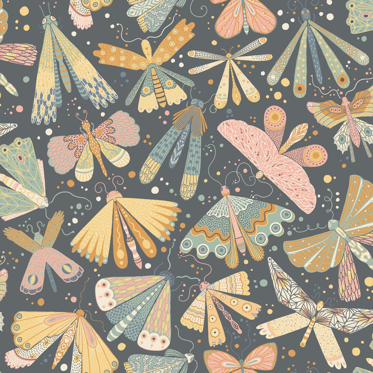Bohemian, Butterflies, Animals