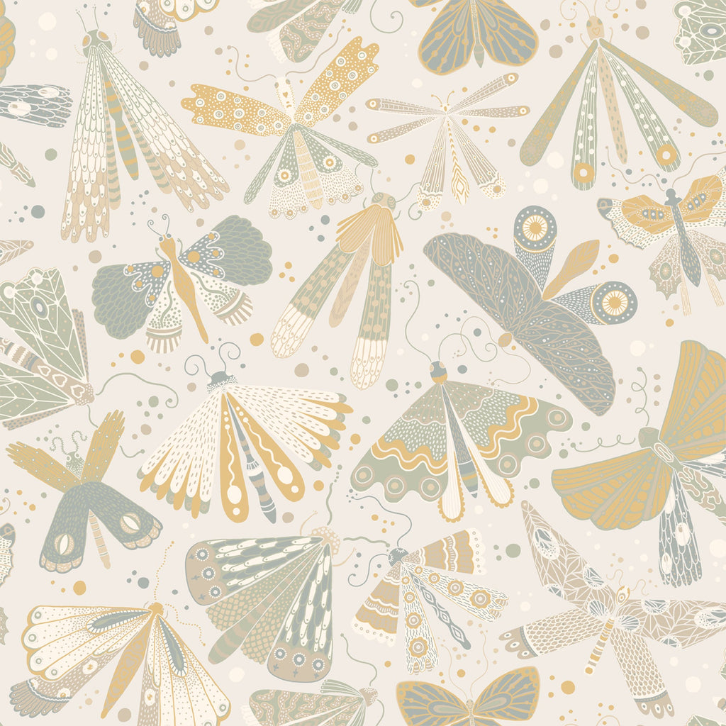 Bohemian, Butterflies, Animals