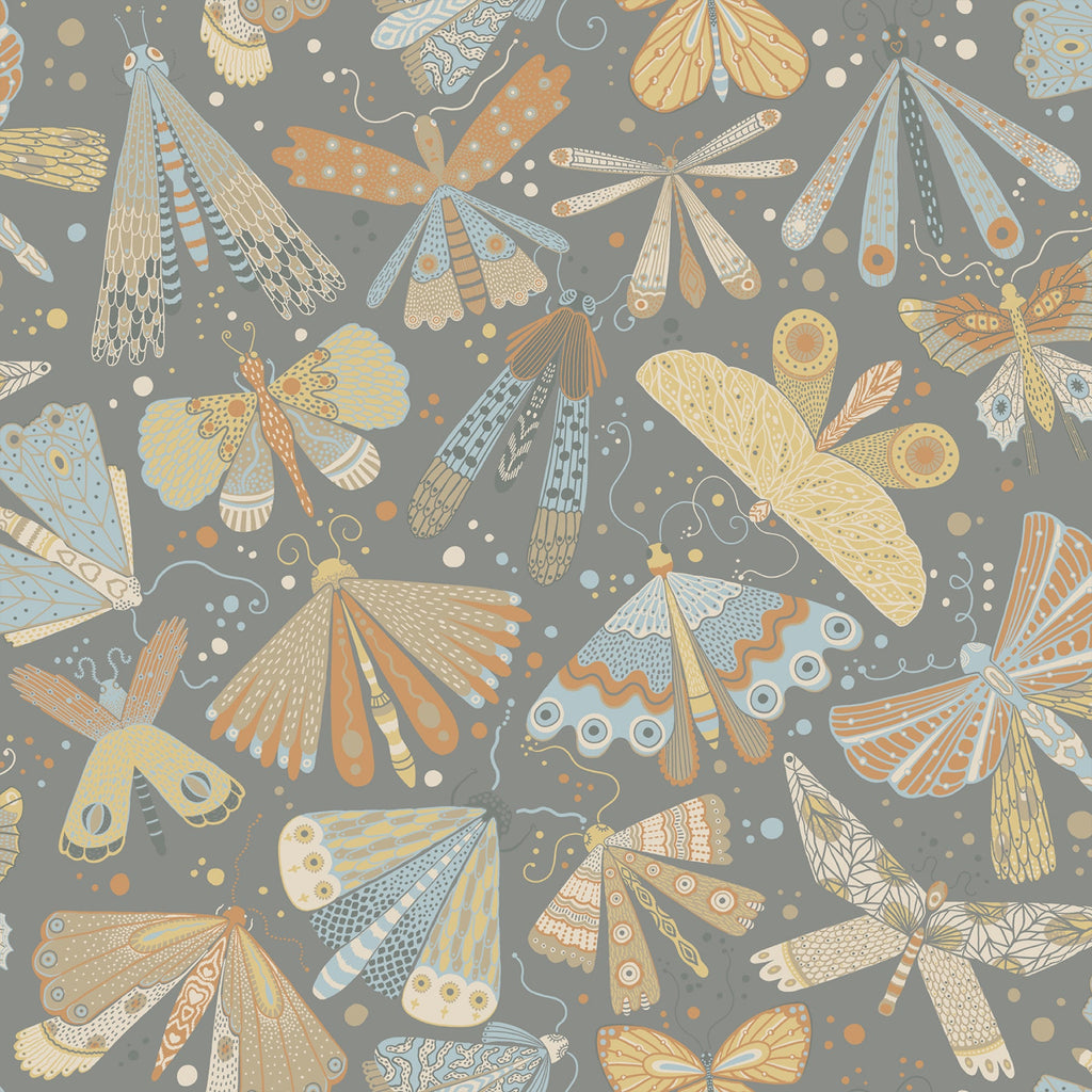 Bohemian, Butterflies, Animals