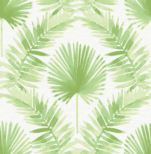 Calla Painted Palm Wallpaper