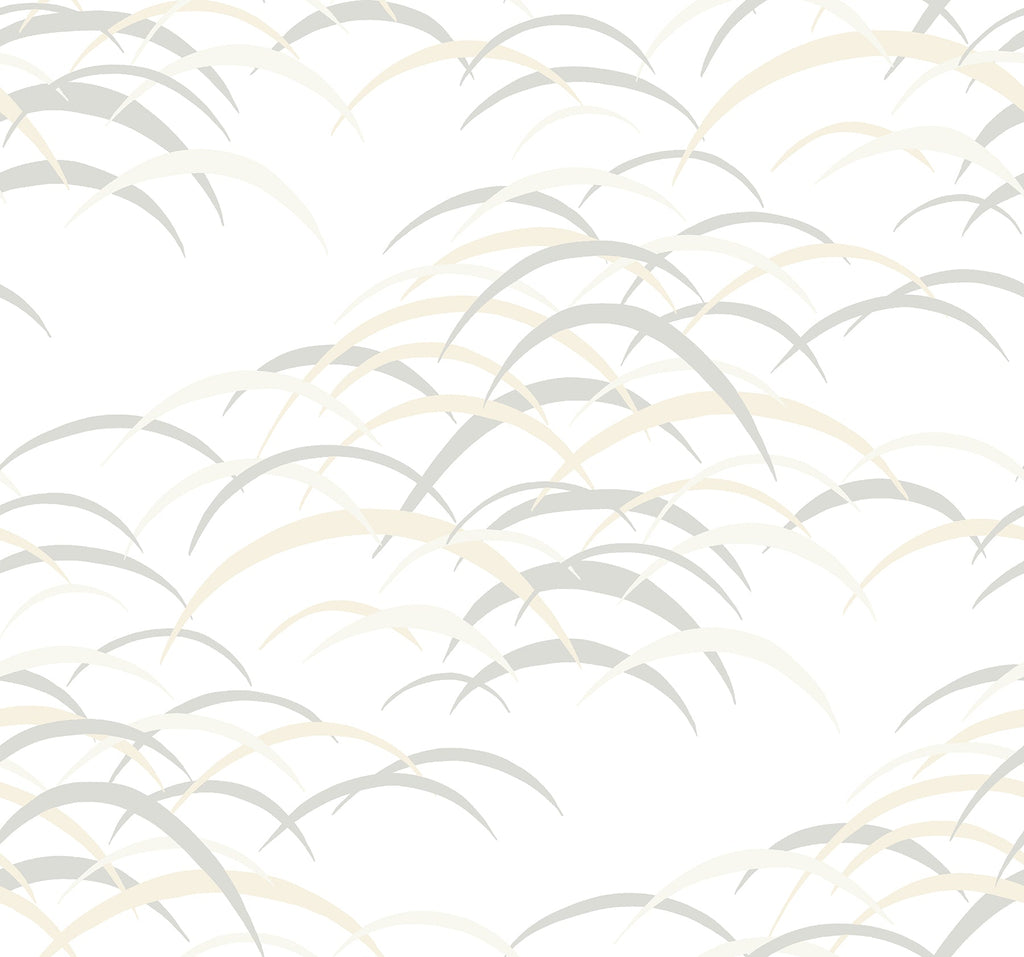 Kasia Abstract Wallpaper