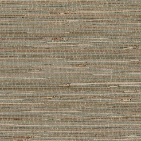 Regular Buddle Wallpaper