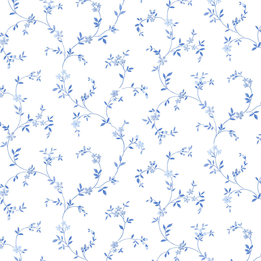 Seed Trail Wallpaper