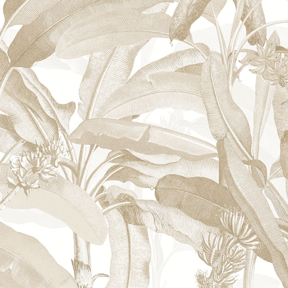 wallpaper, wallpapers, floral, flowers, stems, leaves, tropical, exotic