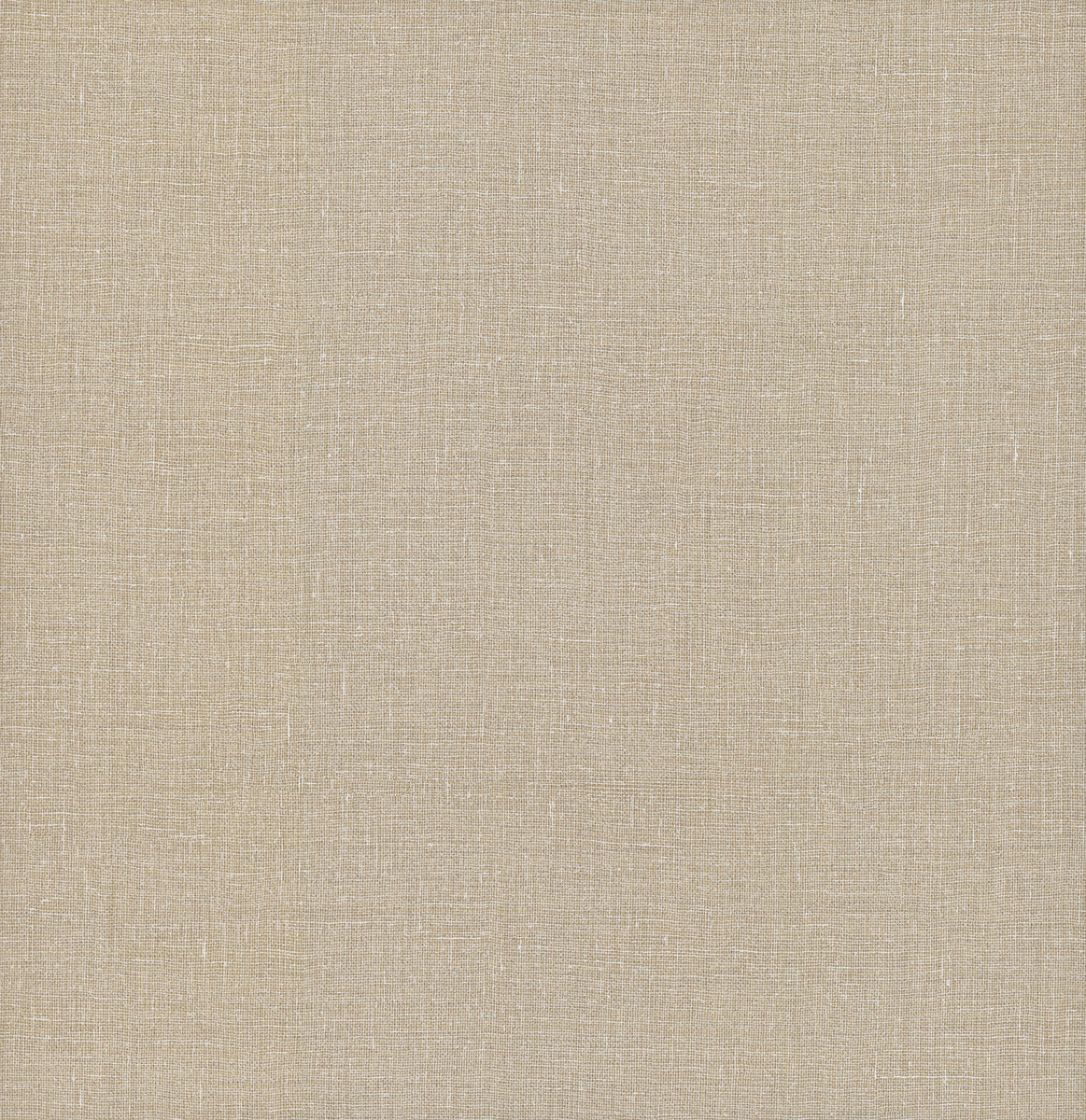 Gesso Weave