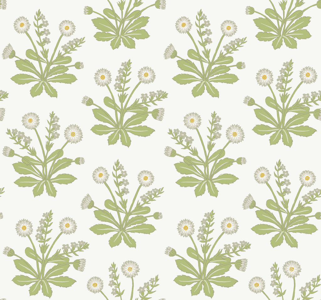 Meadow Flowers Wallpaper