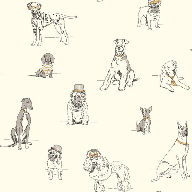 teal bulldogs hats dachshund greyhound pugs poodles terriers
