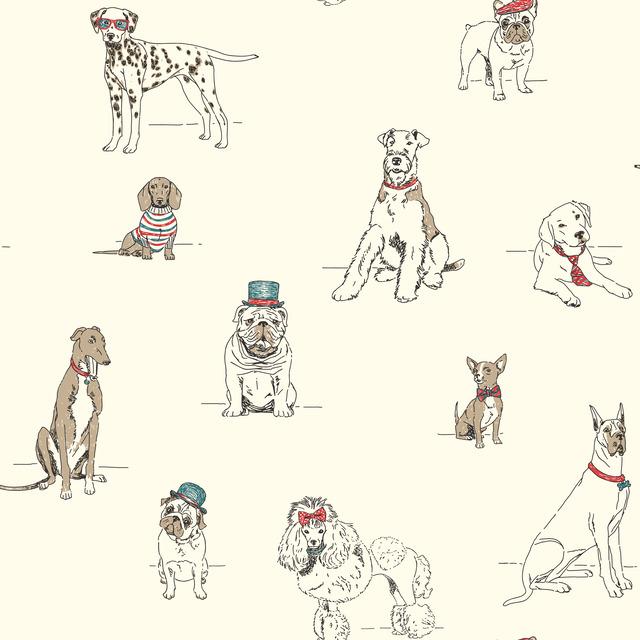 teal bulldogs hats dachshund greyhound pugs poodles terriers