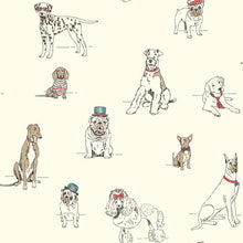 Load image into Gallery viewer, teal bulldogs hats dachshund greyhound pugs poodles terriers