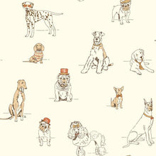 Load image into Gallery viewer, teal bulldogs hats dachshund greyhound pugs poodles terriers