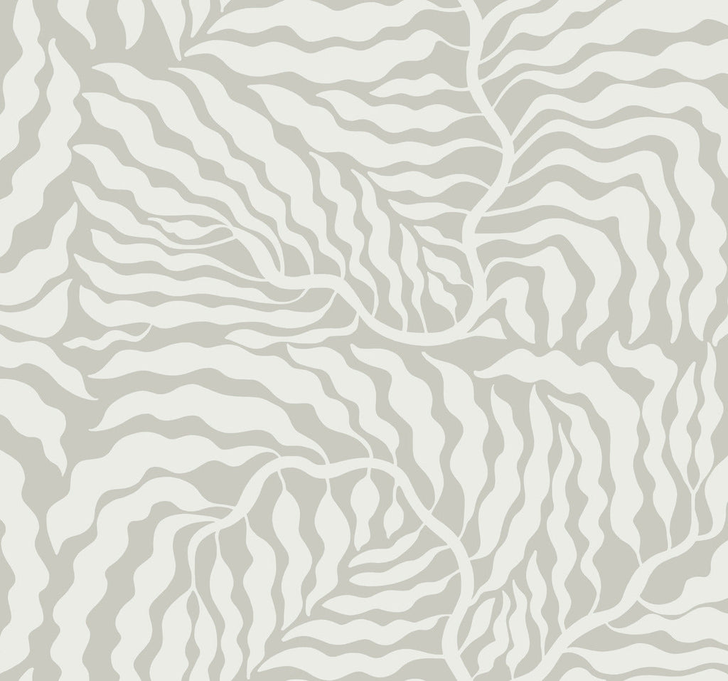 Fern Fronds Wallpaper