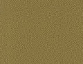 VL082123 Mustard gold dot design