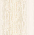 KOI TEXTURE