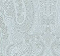 Vl148132.  Lg aqua paisley