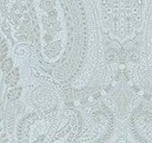 Vl148132.  Lg aqua paisley