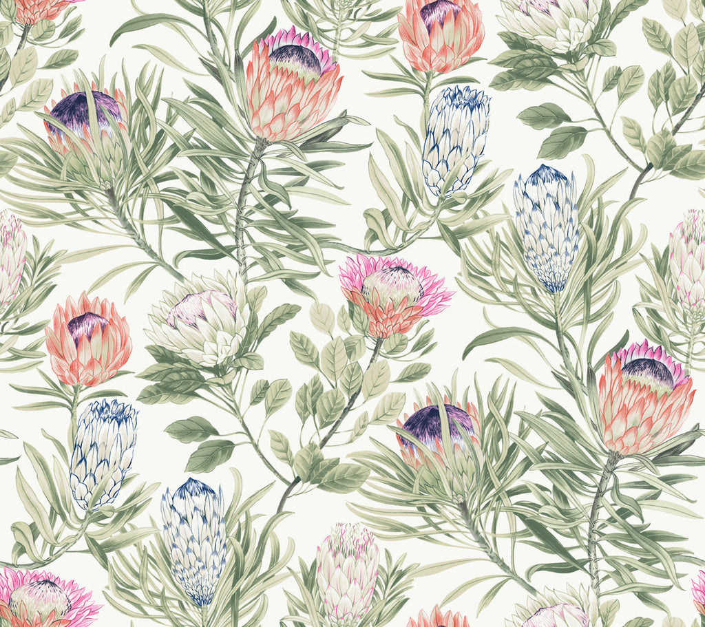 Protea