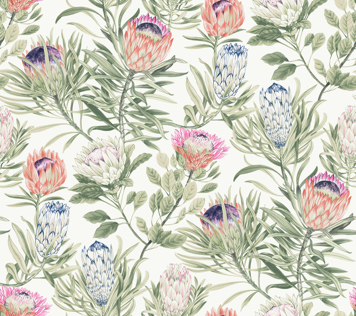 Protea