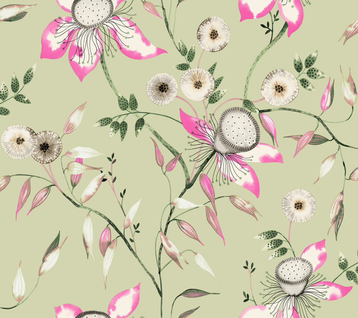 Dream Blossom